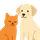Pavlov - Pet Care