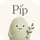 Pip