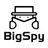 Logo of BigSpy