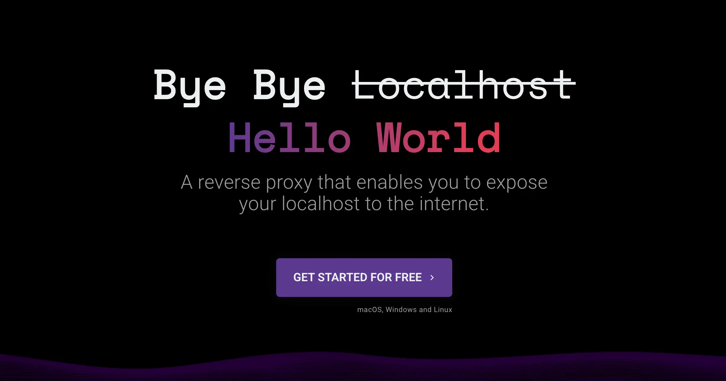 LocalXpose product image