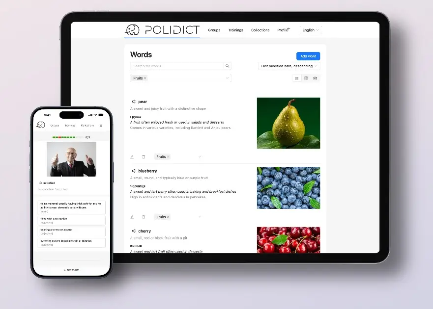 Polidict product image