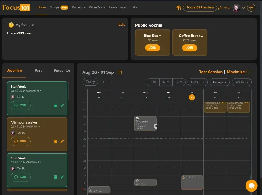 Focus101 product image