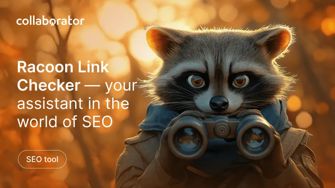 Racoon SEO Link Checker product image