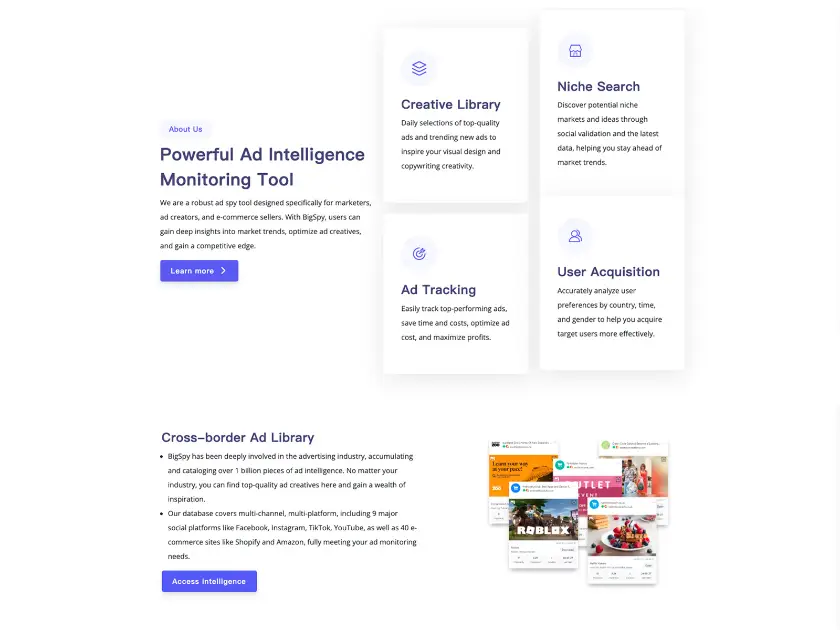 BigSpy product image