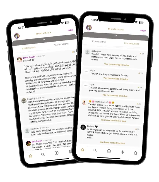 Muslamica product image