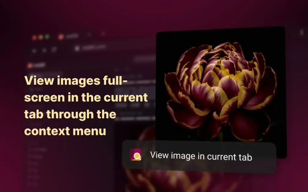 Enhanced Image Viewer product image