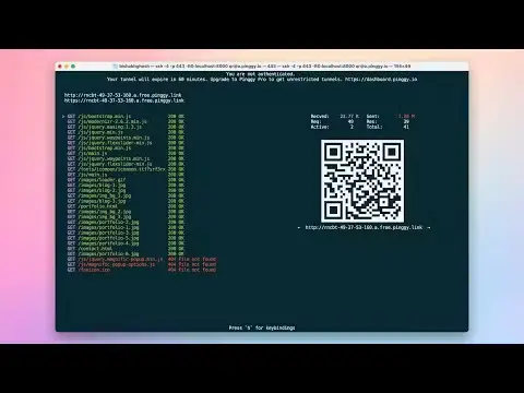  PINGGY image number 31