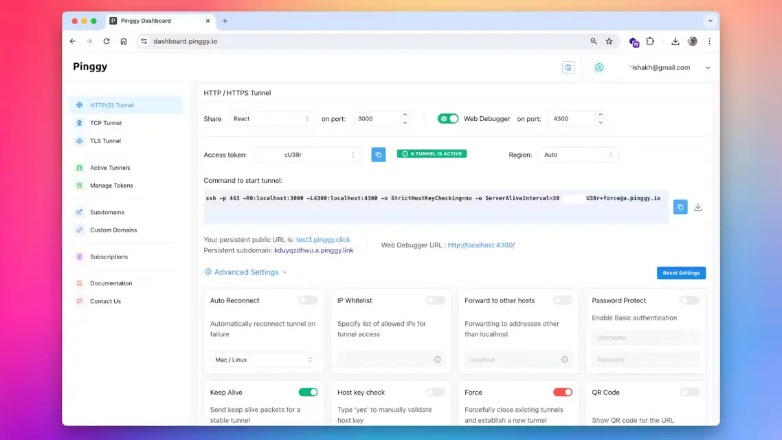  PINGGY image number 41