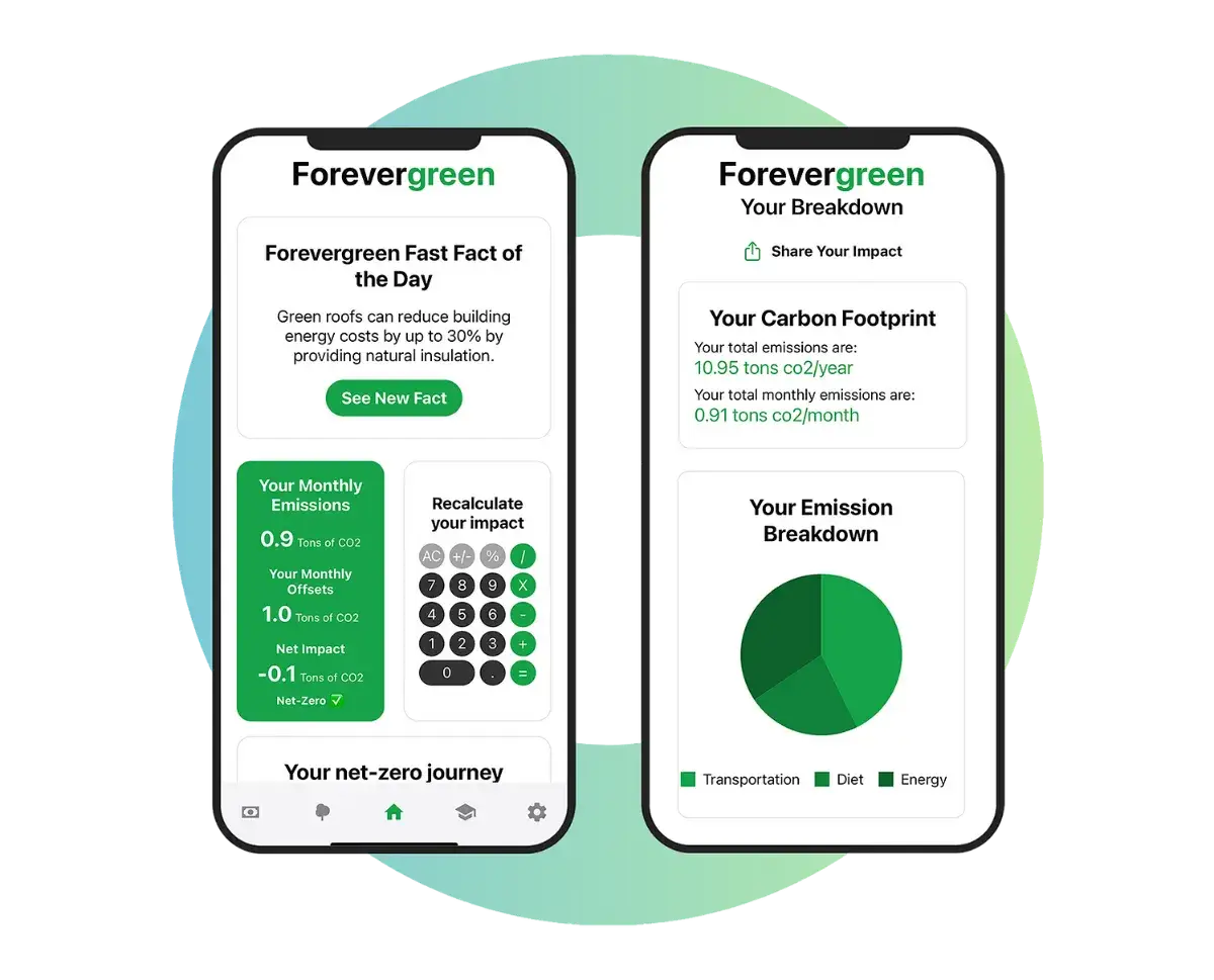 Forevergreen image number 11