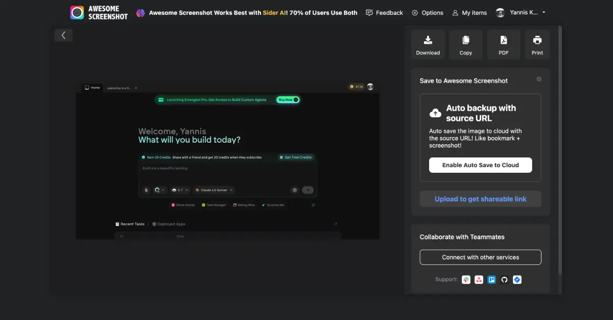 Emergent.sh image number 11