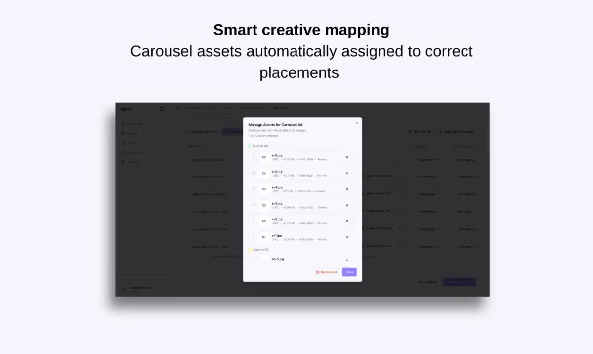 Harry - Bulk Ad Launcher image number 11