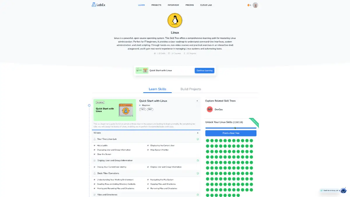 LabEx image number 31