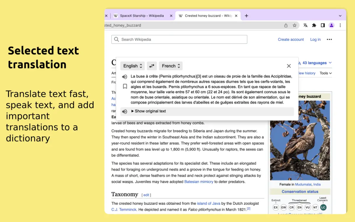 Linguist image number 01