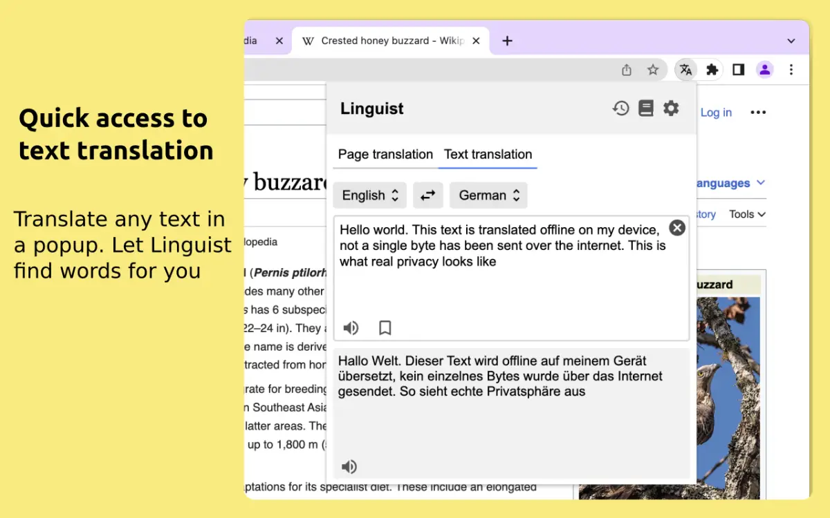 Linguist image number 21