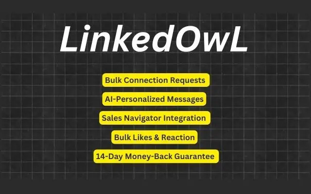 Linkedowl image number 11