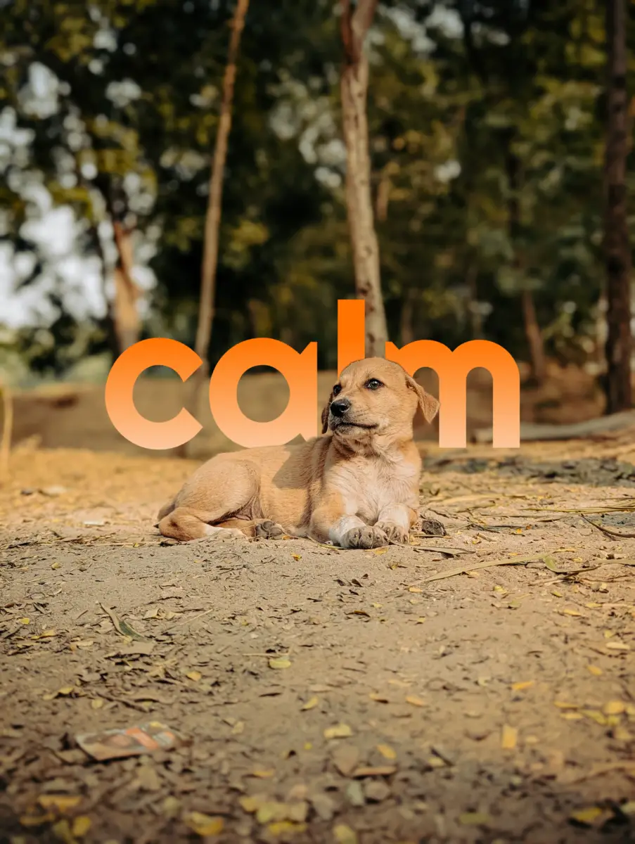 Magic Text ✨ image number 01