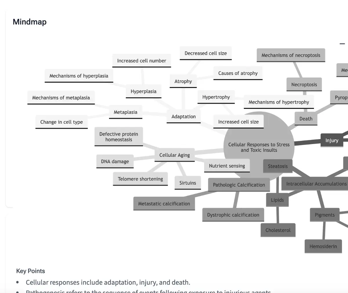 MedQuizAI image number 11