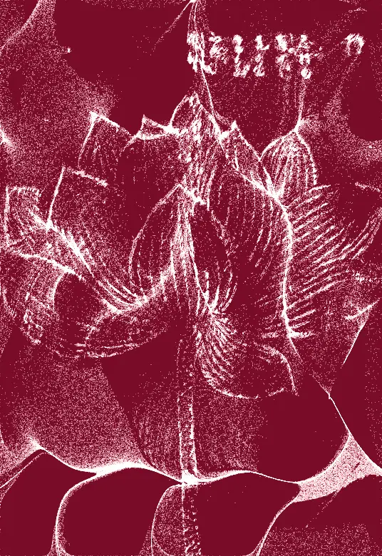 Particular Drift image number 11