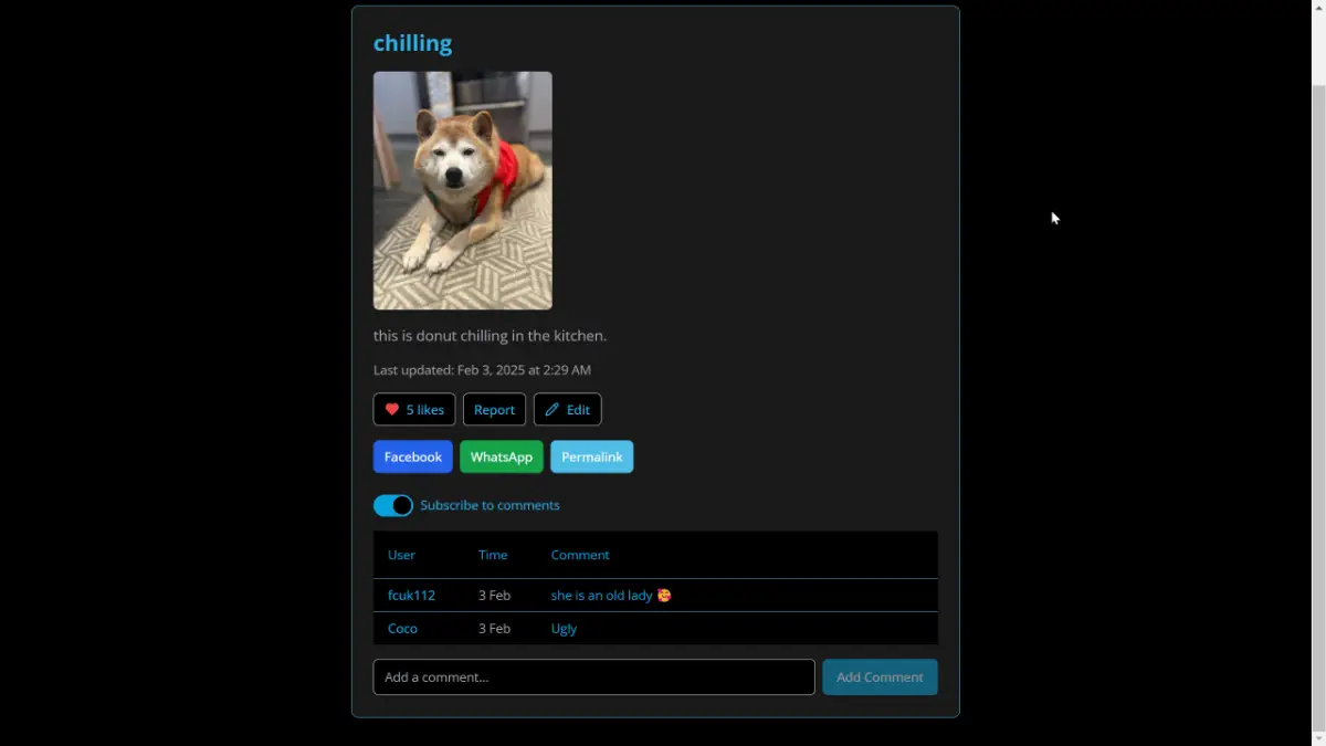 PetDiary image number 21