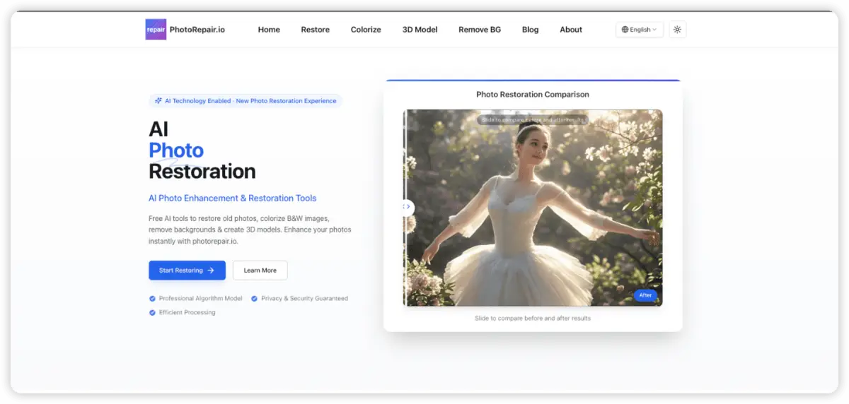 PhotoRepair product image