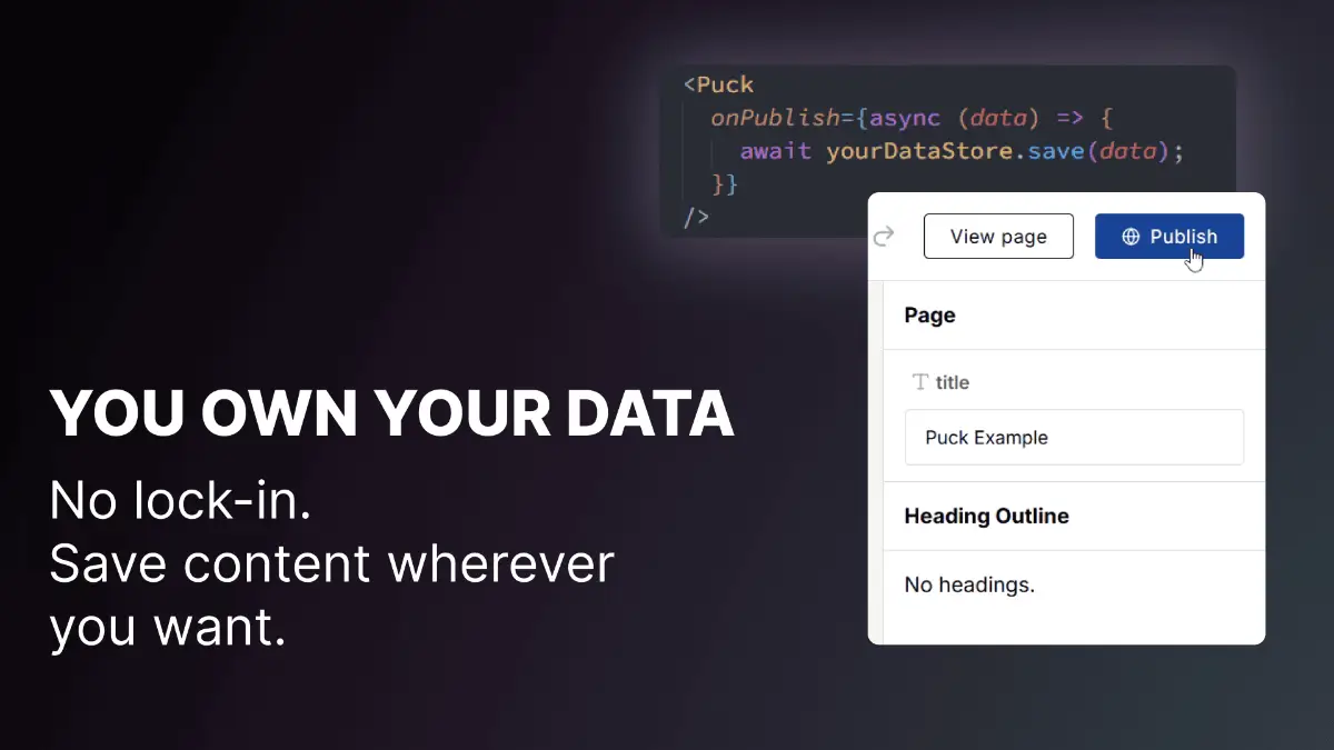 Puck image number 31