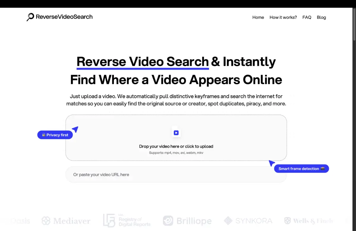 Reverse Video Search image number 11