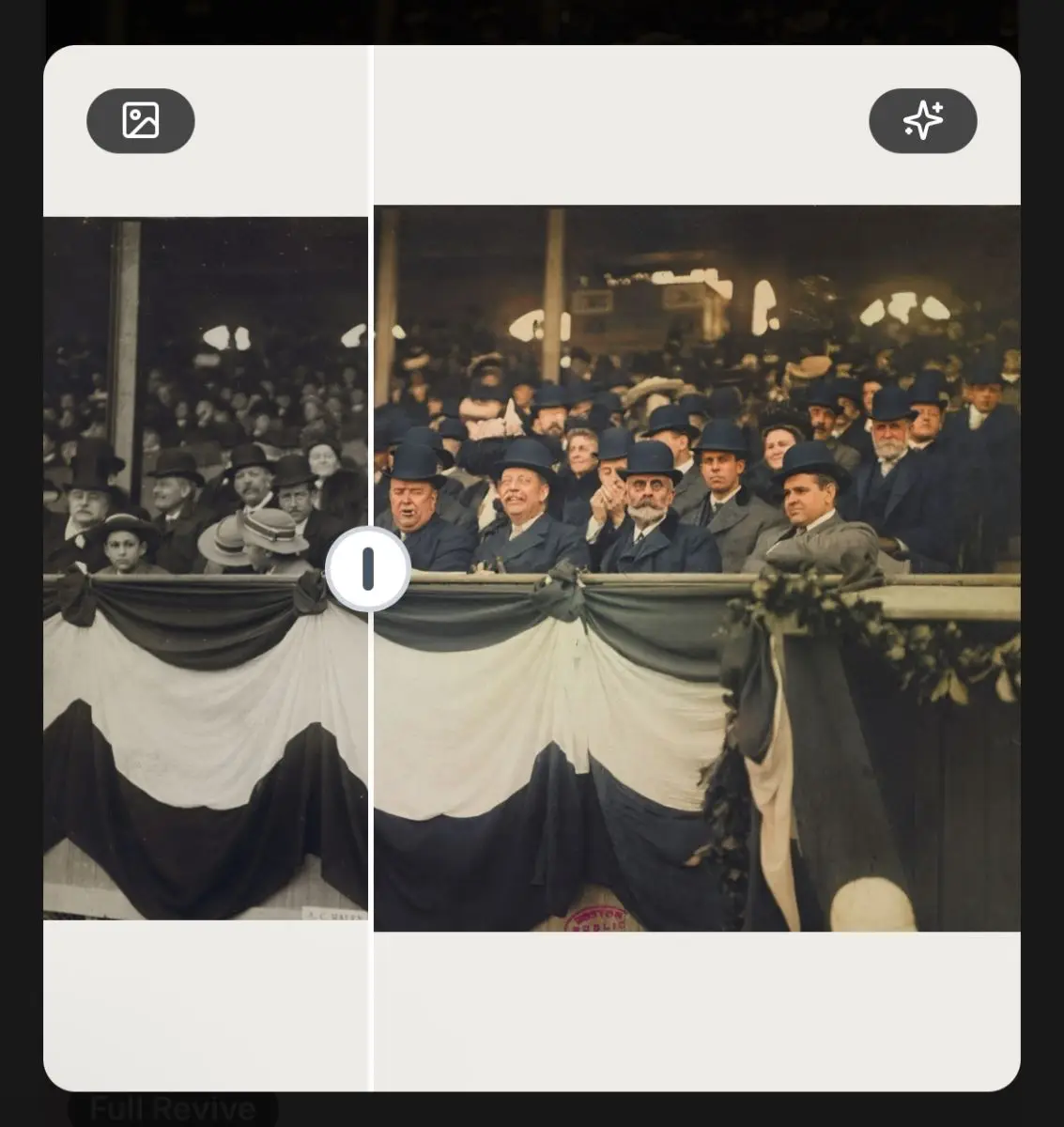 Revive image number 11