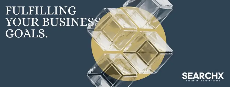 SearchX product image