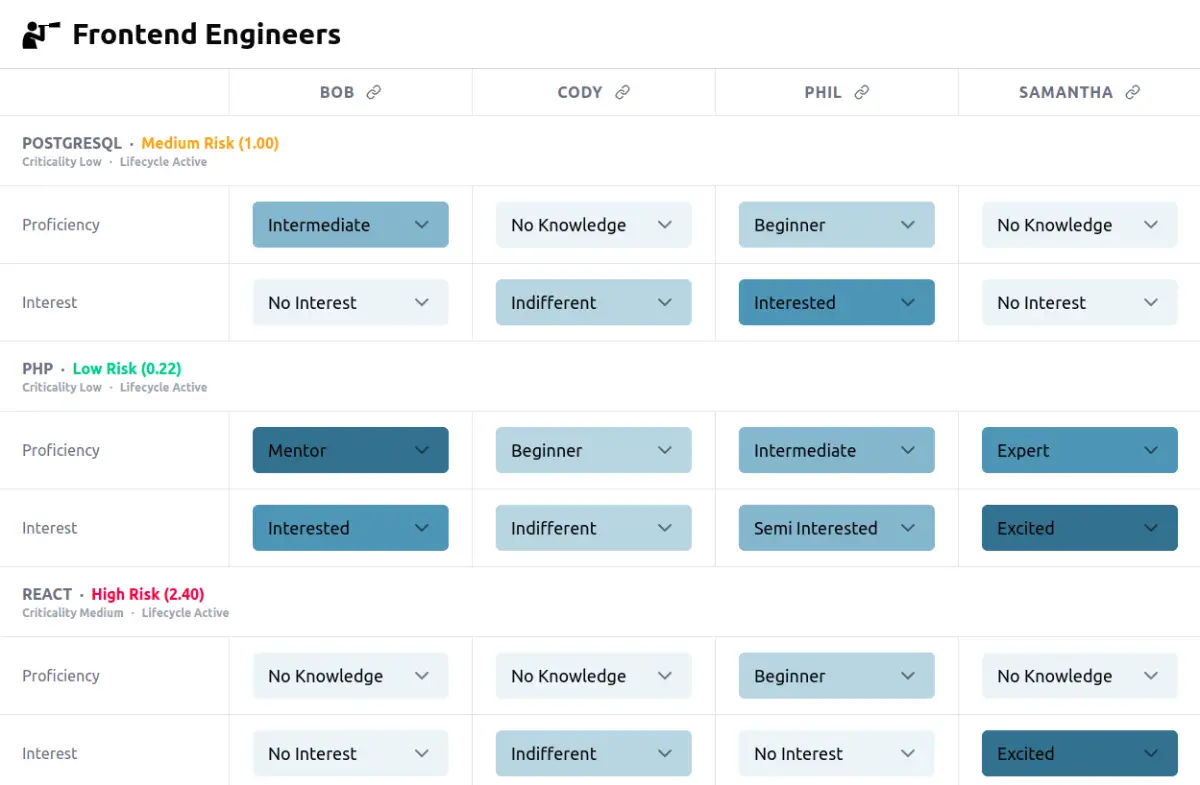 Skill Risk Audit product image
