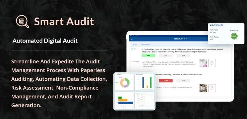 Smart Audit image number 11