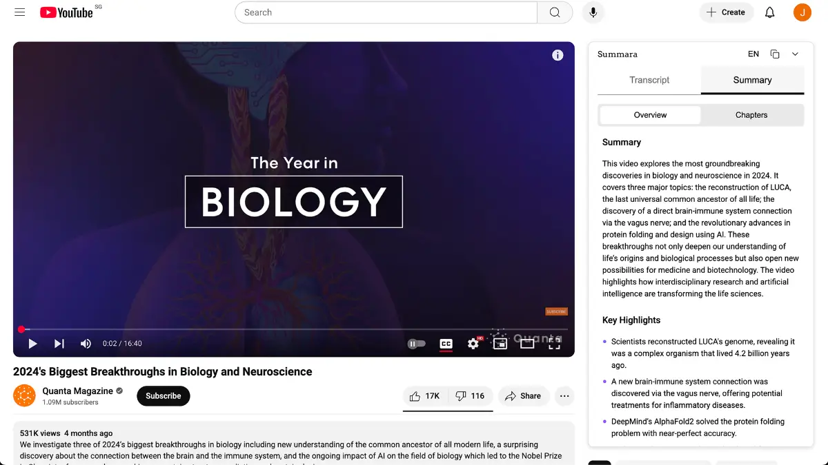 Summara image number 11