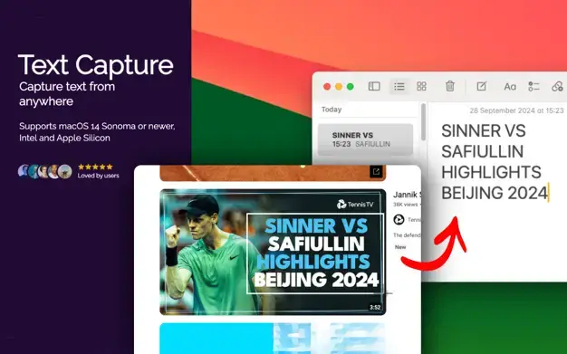 Text Capture image number 11