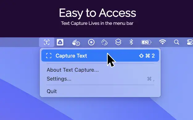 Text Capture image number 21