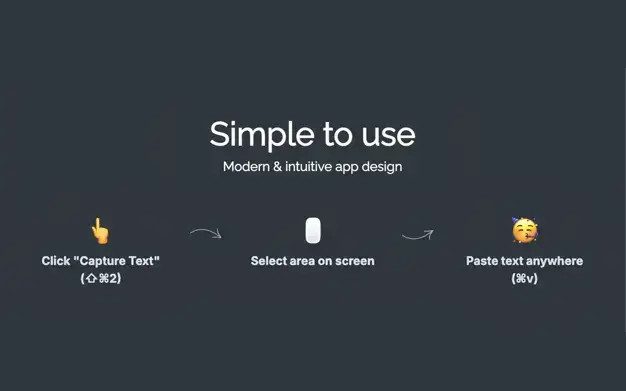 Text Capture image number 31