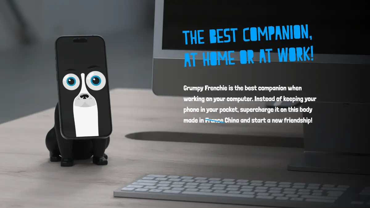 The Grumpy Frenchie image number 01