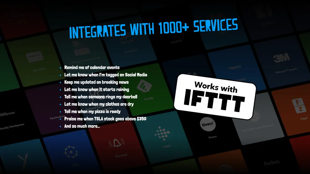 The Grumpy Frenchie image number 11