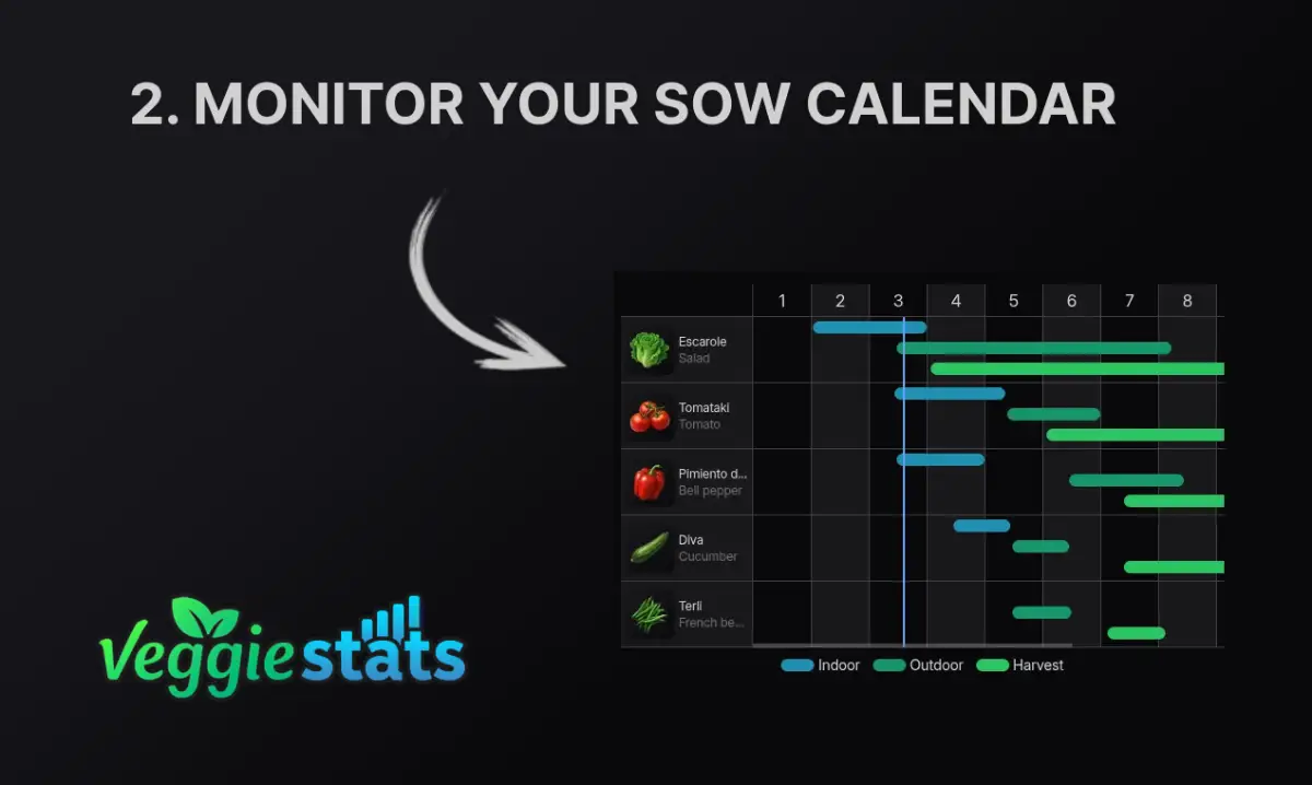 Veggie Stats image number 11