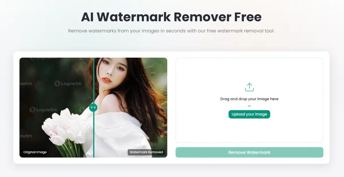 Watermark Remover product image