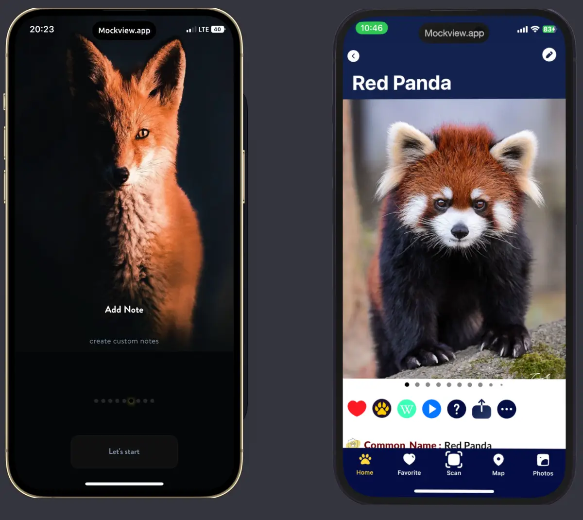 WildTrackAI:Discover nature image number 11
