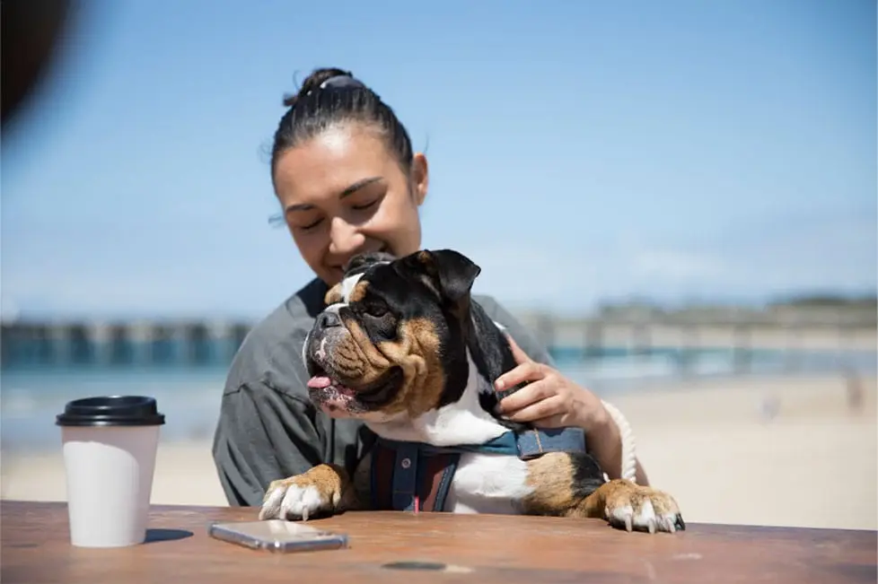 fetchreview product image