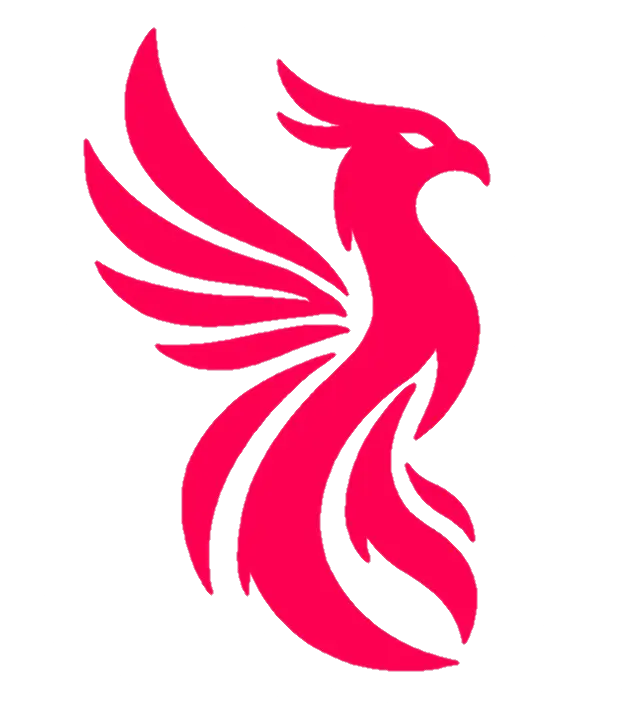 TokScraper image number 01