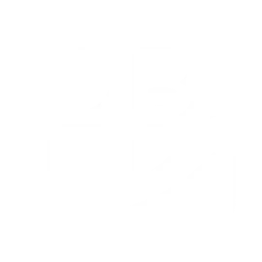 BRANDISEER image number 11