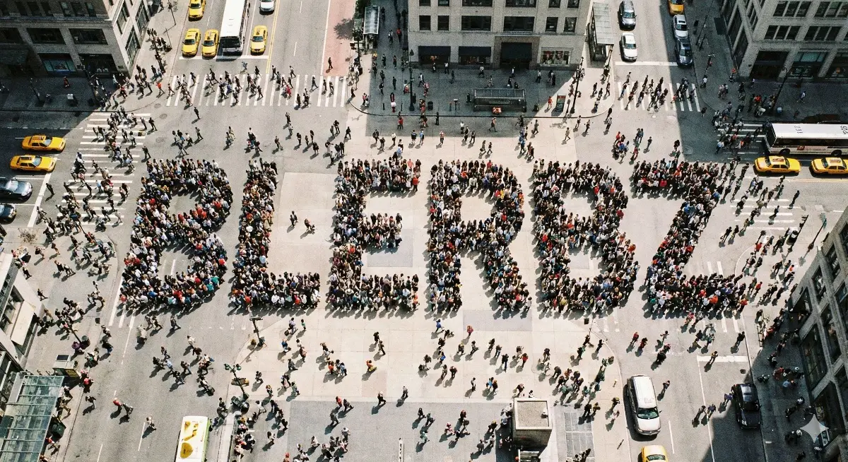 Blerbz image number 11