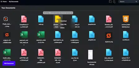 DoShare Personal Cloud image number 01