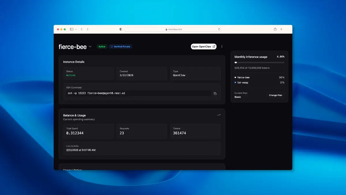 IronClaw image number 21