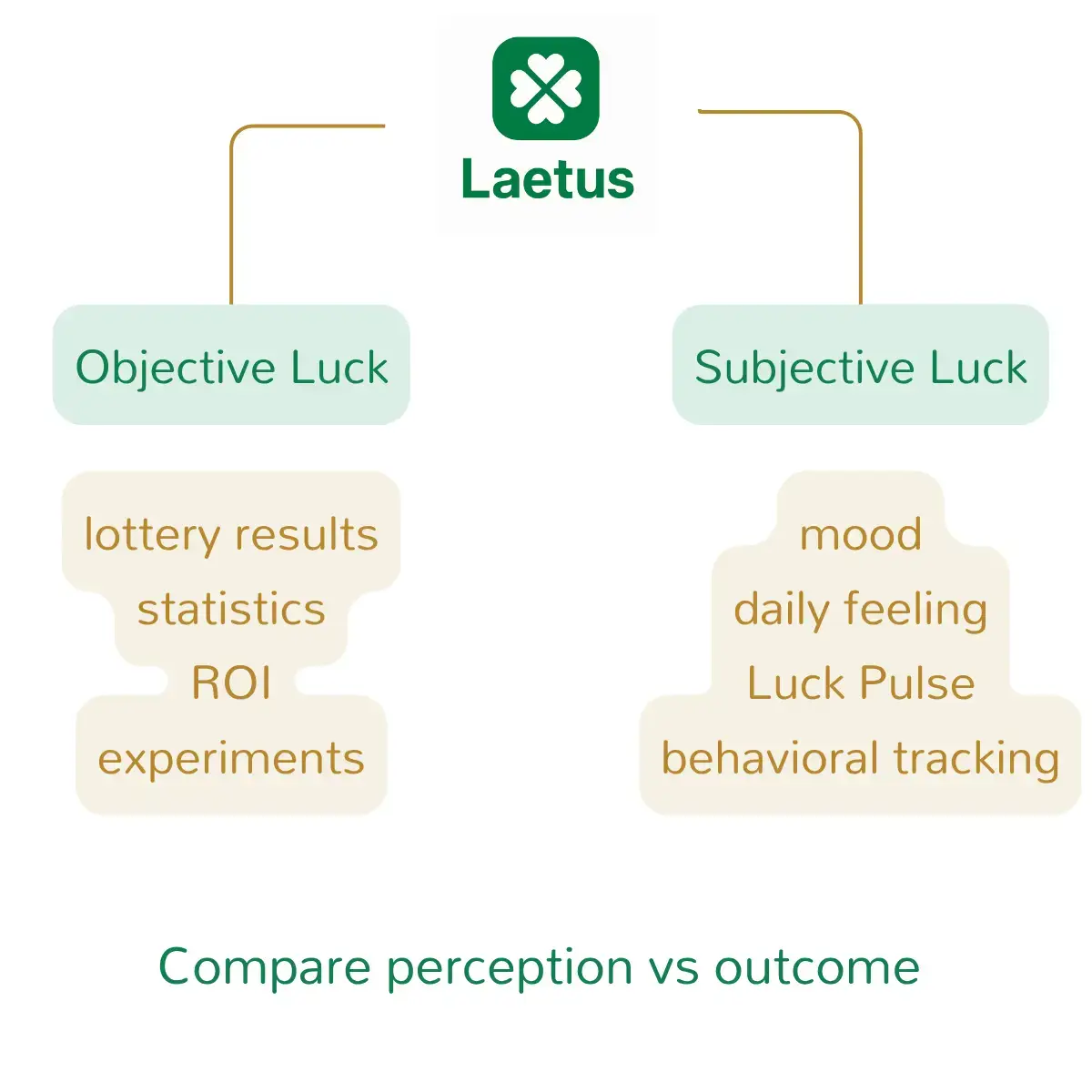 Laetus image number 11