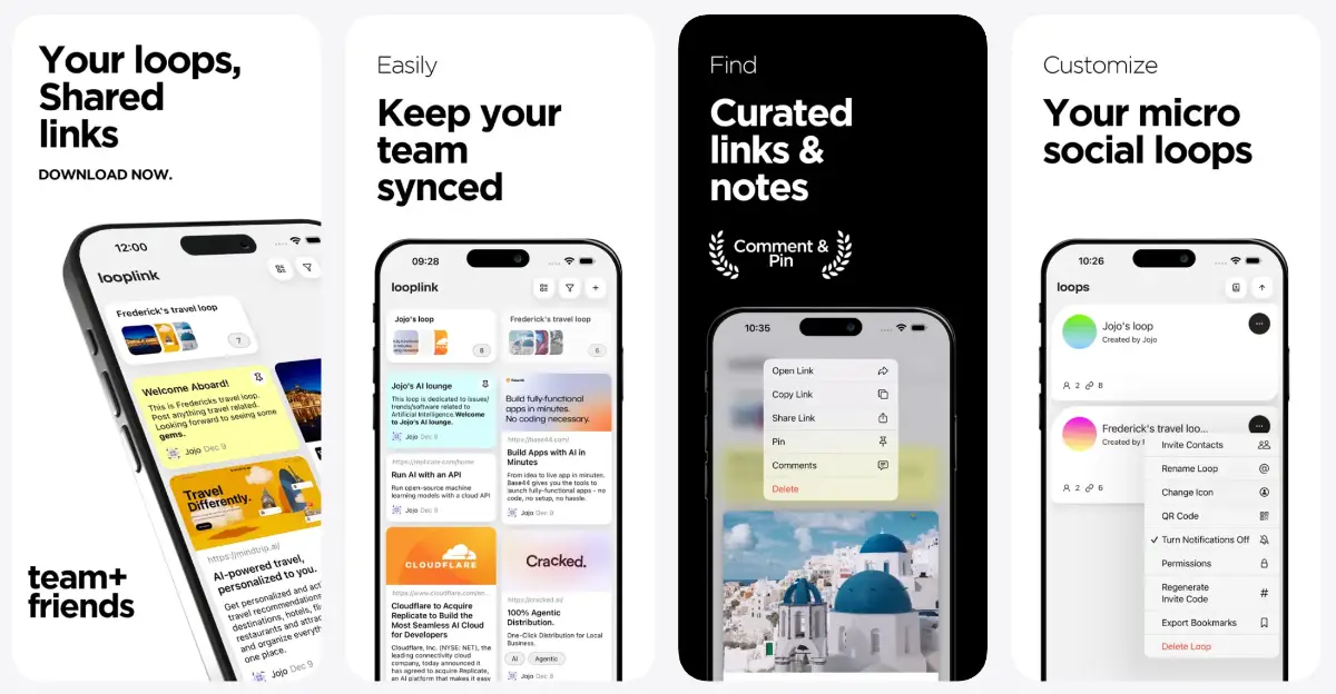 Looplink - Social Bookmarking product image
