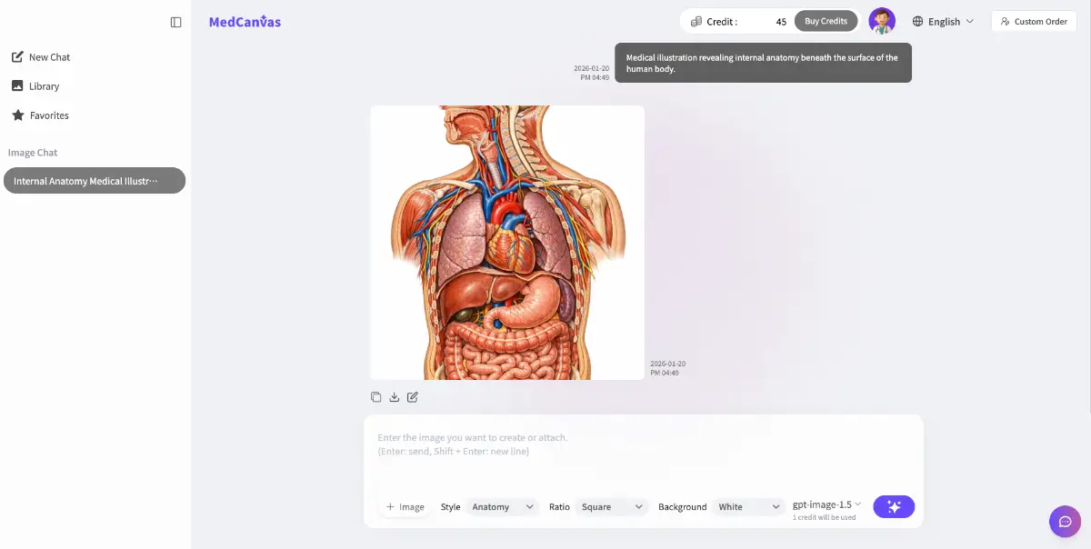 MedCanvas image number 31