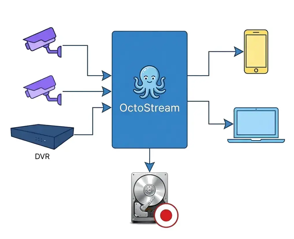 OctoStream image number 11