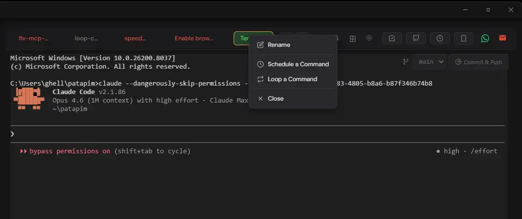 PATAPIM image number 11